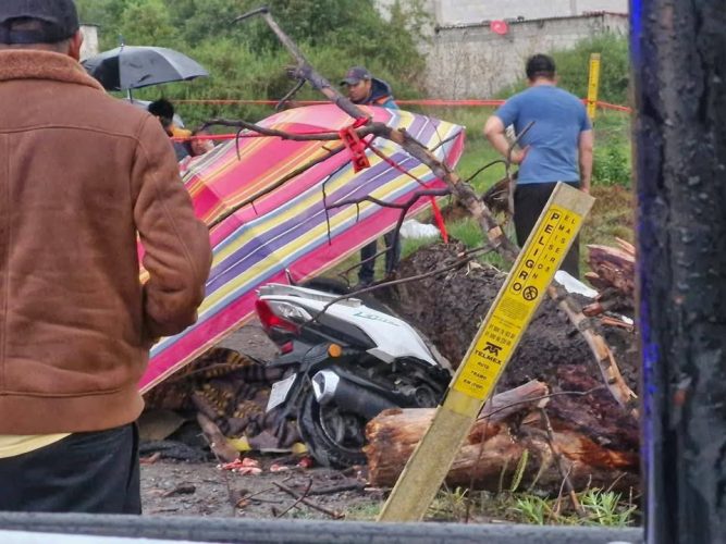 Muere menor de edad tras caída de rama sobre motocicleta en San Martín Texmelucan