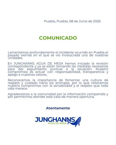 Junghanns reconoce atropello de perro en Puebla pero no aclara sanciones al conductor