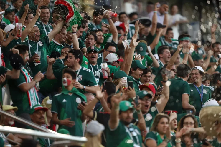El grito discriminatorio reaparece en el partido Suecia-Túnez en el Mundial