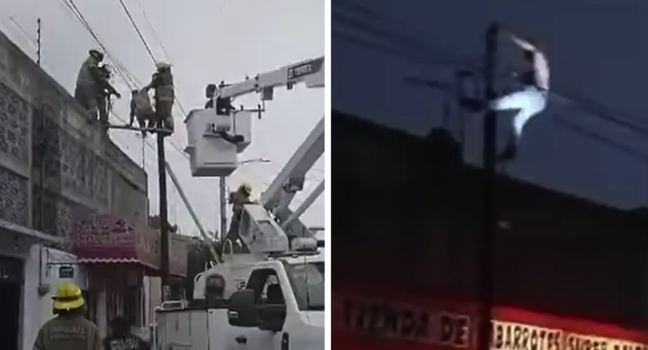 Ladrón queda colgado más de seis horas en poste tras intento de robo en Chimalhuacán
